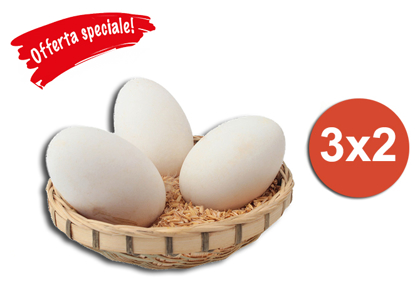 Picture of Promo - buy 3 goose eggs just pay for 2!