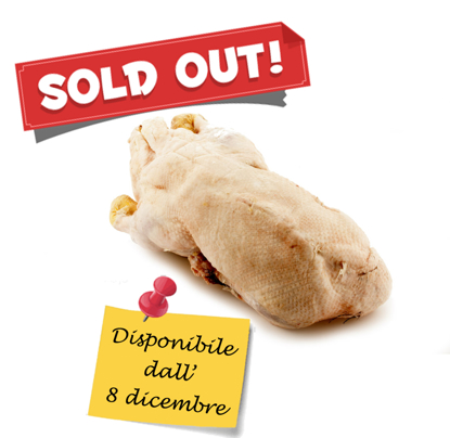 Immagine di Oca busto